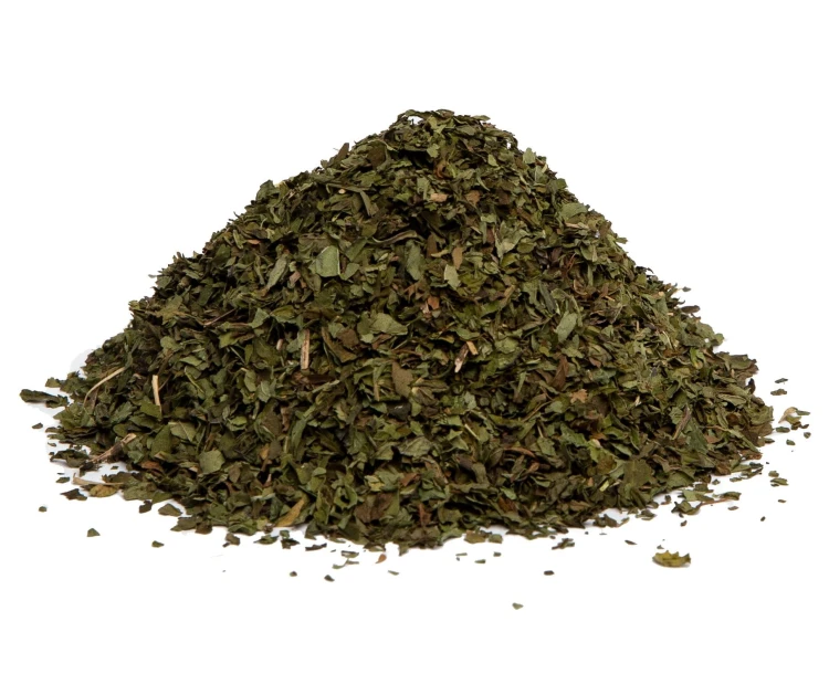 mięta